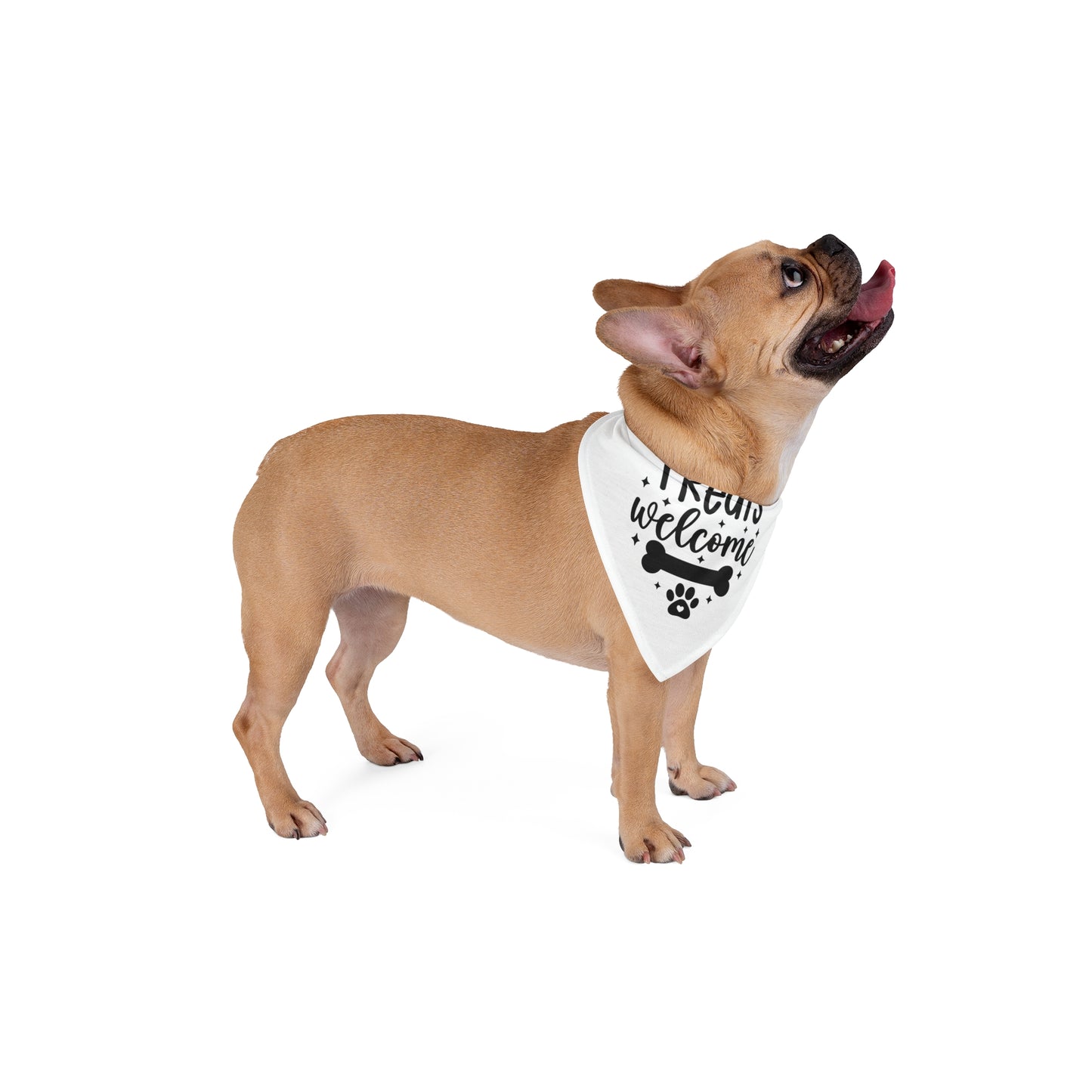 Pet Bandana – "Treats Welcome" Dog Bandana with Bone & Paw G — packaging or scale reference