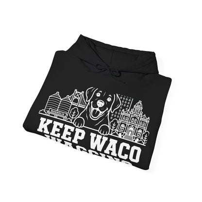 Waco Labrador Hoodie — Labrador and Waco skyline artwork, packaging or scale reference