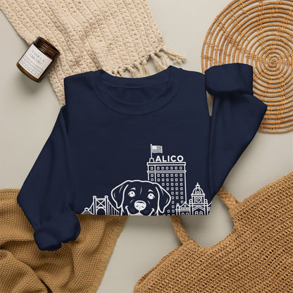 Waco Labrador Sweatshirt — Labrador and Waco skyline artwork, packaging or scale reference