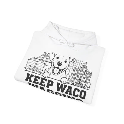 Waco Pittie Hoodie — Pittie and Waco skyline artwork, packaging or scale reference