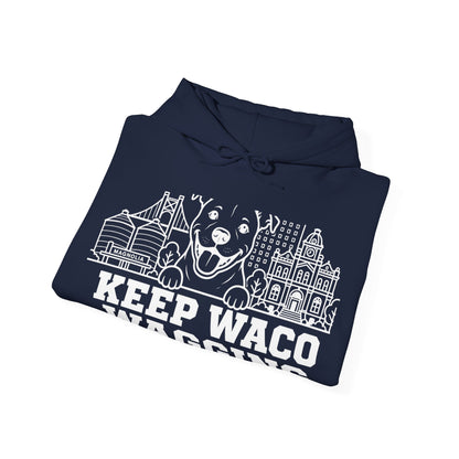 Waco Pittie Hoodie — Pittie and Waco skyline artwork, packaging or scale reference