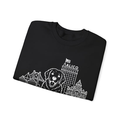 Waco Golden Retriever Sweatshirt — Golden Retriever and Waco skyline artwork, packaging or scale reference