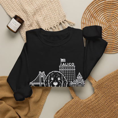 Waco Doodle Sweatshirt — Doodle and Waco skyline artwork, packaging or scale reference