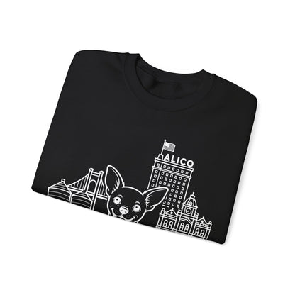 Waco Chihuahua Sweatshirt — Chihuahua and Waco skyline artwork, packaging or scale reference
