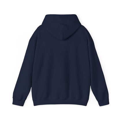 Waco Labrador Hoodie — Labrador and Waco skyline artwork, packaging or scale reference