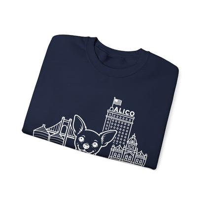 Waco Chihuahua Sweatshirt — Chihuahua and Waco skyline artwork, packaging or scale reference