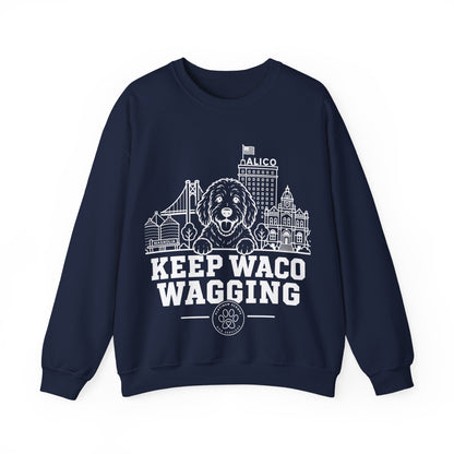 Waco Doodle Sweatshirt — Doodle and Waco skyline artwork on Navy crewneck