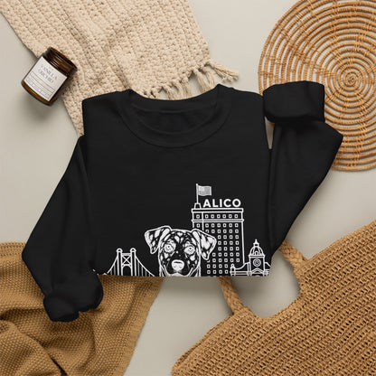 Waco Catahoula Sweatshirt — Catahoula and Waco skyline artwork, packaging or scale reference