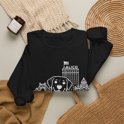 Waco Labrador Sweatshirt — Labrador and Waco skyline artwork, packaging or scale reference