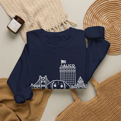 Waco Dachshund Sweatshirt — Dachshund and Waco skyline artwork, packaging or scale reference