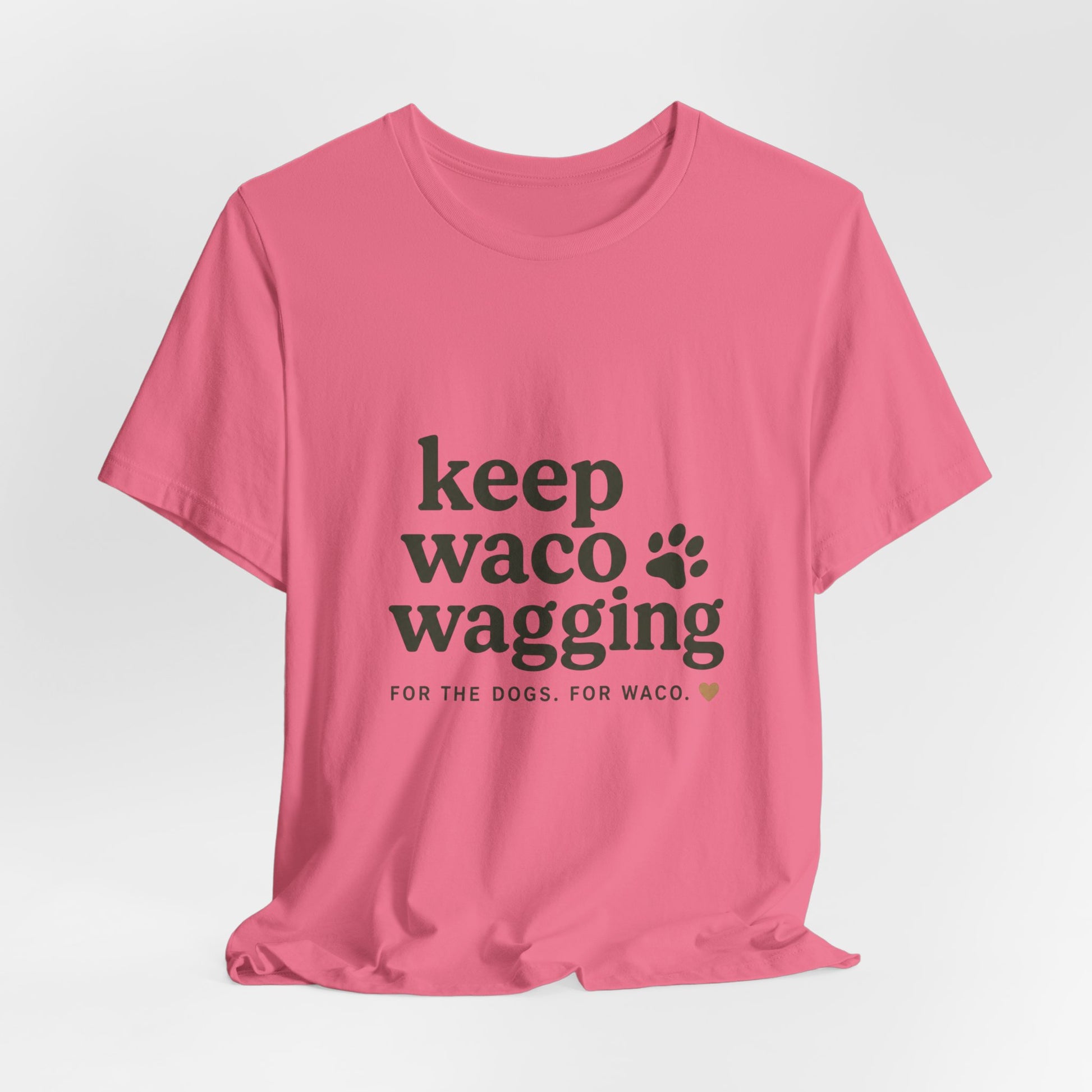 Walks & Treats Waco Streets tee — Waco skyline artwork, packaging or scale reference