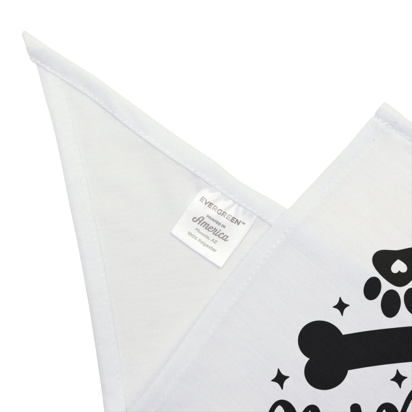Pet Bandana – "Treats Welcome" Dog Bandana with Bone & Paw G — lifestyle context