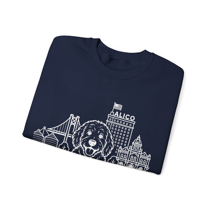 Waco Doodle Sweatshirt — Doodle and Waco skyline artwork, packaging or scale reference