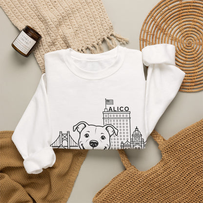Waco Pittie Sweatshirt — Pittie and Waco skyline artwork, packaging or scale reference