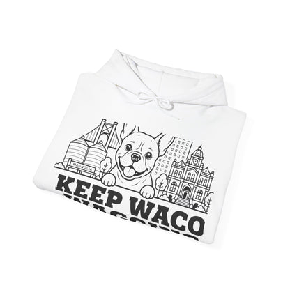 Waco Frenchie Hoodie — Frenchie and Waco skyline artwork, packaging or scale reference