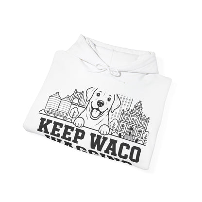 Waco Labrador Hoodie — Labrador and Waco skyline artwork, packaging or scale reference