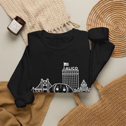 Waco Dachshund Sweatshirt — Dachshund and Waco skyline artwork, packaging or scale reference
