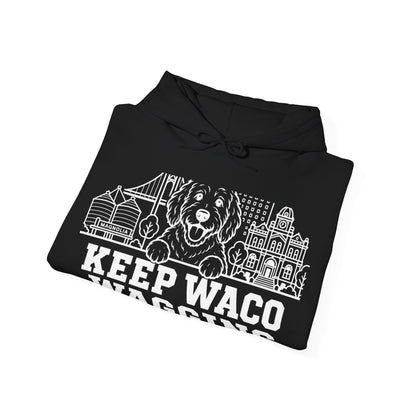 Waco Doodle Hoodie — Doodle and Waco skyline artwork, packaging or scale reference