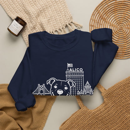 Waco Pittie Sweatshirt — Pittie and Waco skyline artwork, packaging or scale reference
