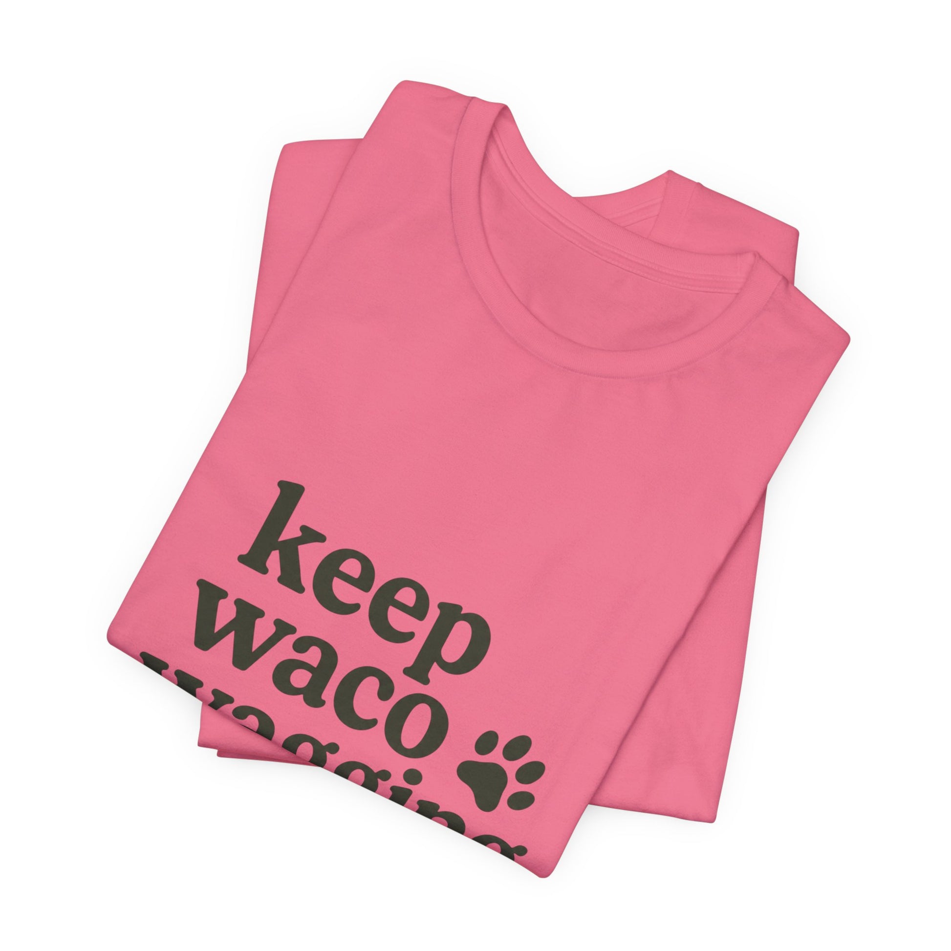 Walks & Treats Waco Streets tee — Waco skyline artwork, packaging or scale reference