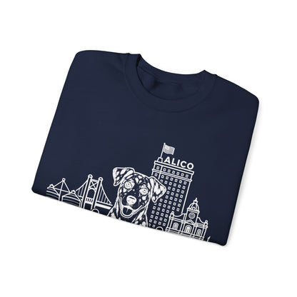 Waco Catahoula Sweatshirt — Catahoula and Waco skyline artwork, packaging or scale reference