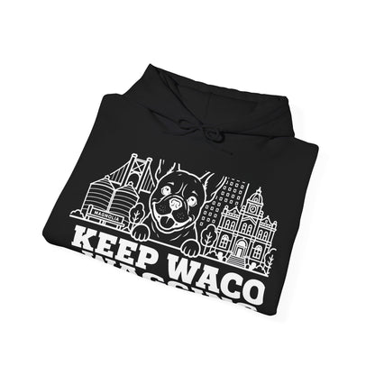 Waco Frenchie Hoodie — Frenchie and Waco skyline artwork, packaging or scale reference