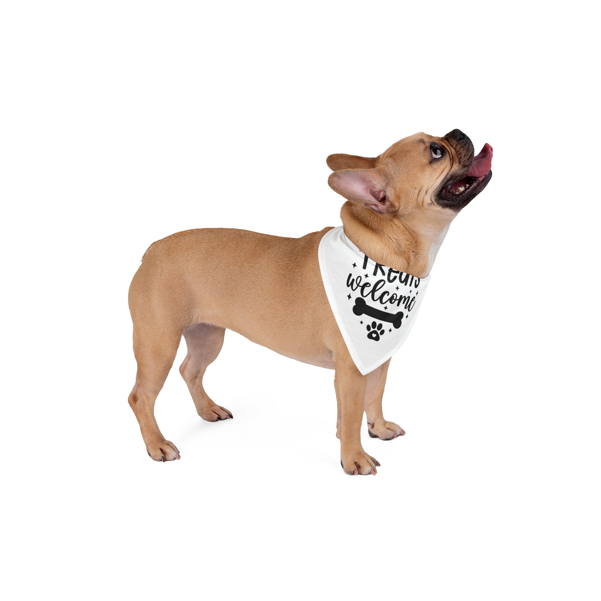 Pet Bandana – "Treats Welcome" Dog Bandana with Bone & Paw G — detail view
