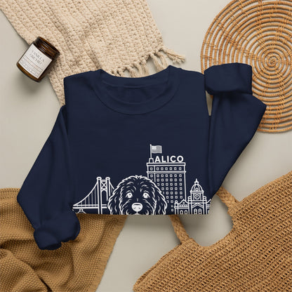 Waco Doodle Sweatshirt — Doodle and Waco skyline artwork, packaging or scale reference